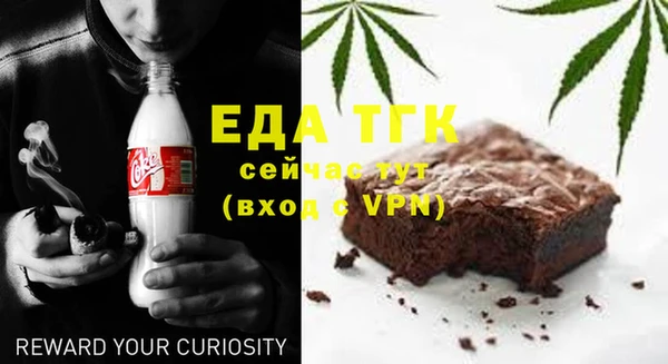 хмурый Аркадак