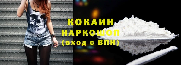 хмурый Аркадак