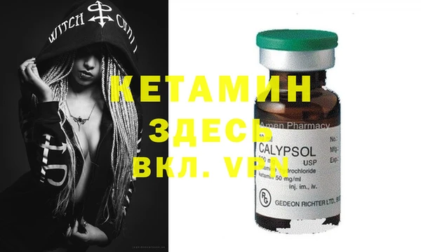 хмурый Аркадак
