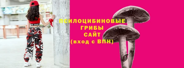 прущие крисы Михайловка