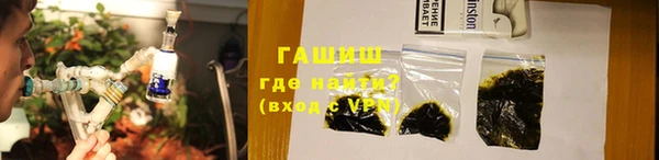 хмурый Аркадак