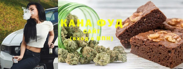 хмурый Аркадак