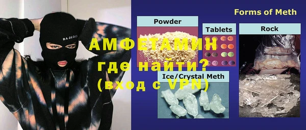 хмурый Аркадак