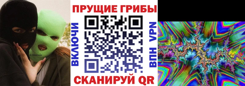 Галлюциногенные грибы GOLDEN TEACHER blacksprut как войти Бакал